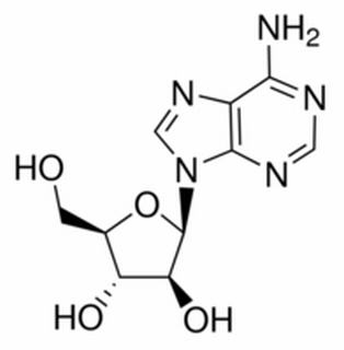 植物激素及核酸類